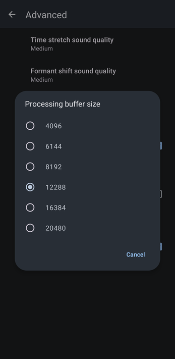Processing buffer size options