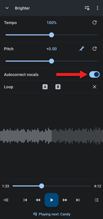 Arrow pointing at the Autocorrect vocals switch
