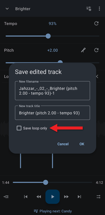 Save edited track dialog with the Save loop only checkbox