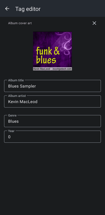 Album tag editor with cover art, album title, album artist, genre and year