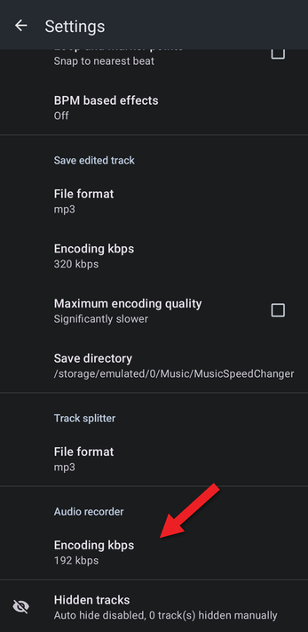 Settings with the Audio recorder section