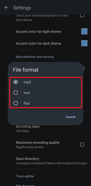 File format dialog with mp3, wav and flac