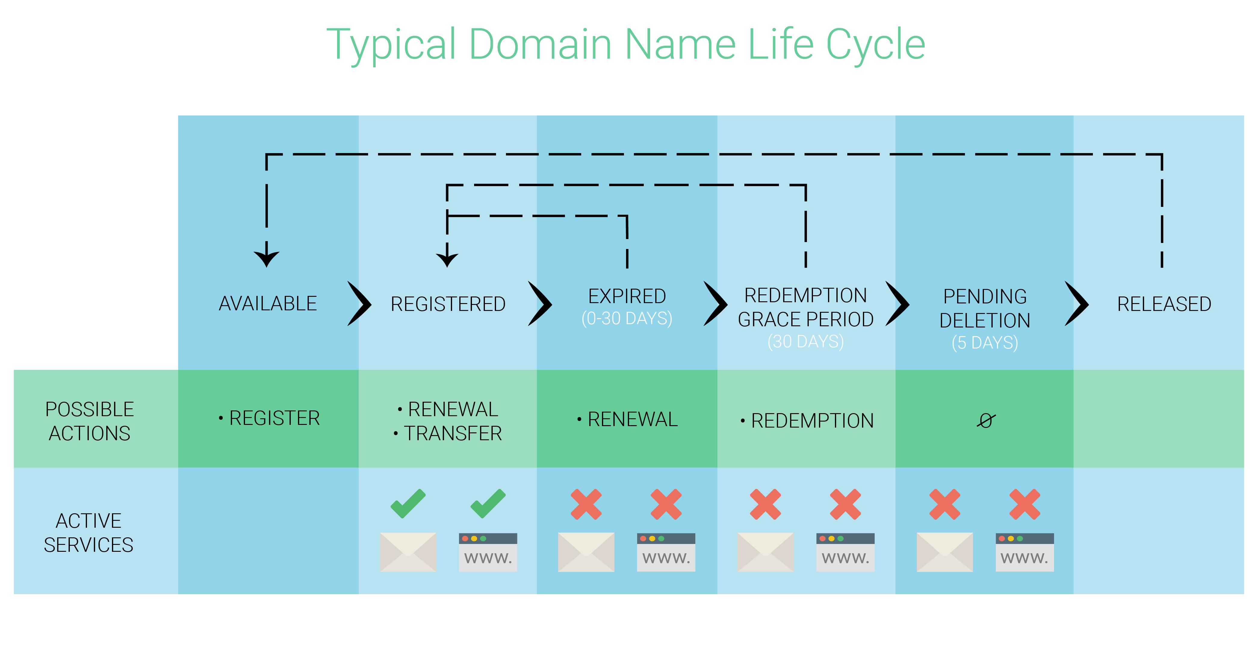 Life name. Доменное имя бизнес. Typical Stages in the Life Cycle. YM*domains. Domain name Renewals.