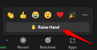 Zoom feature: raise your hand button
