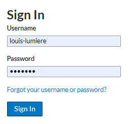 image of sign in page fields, user and password.