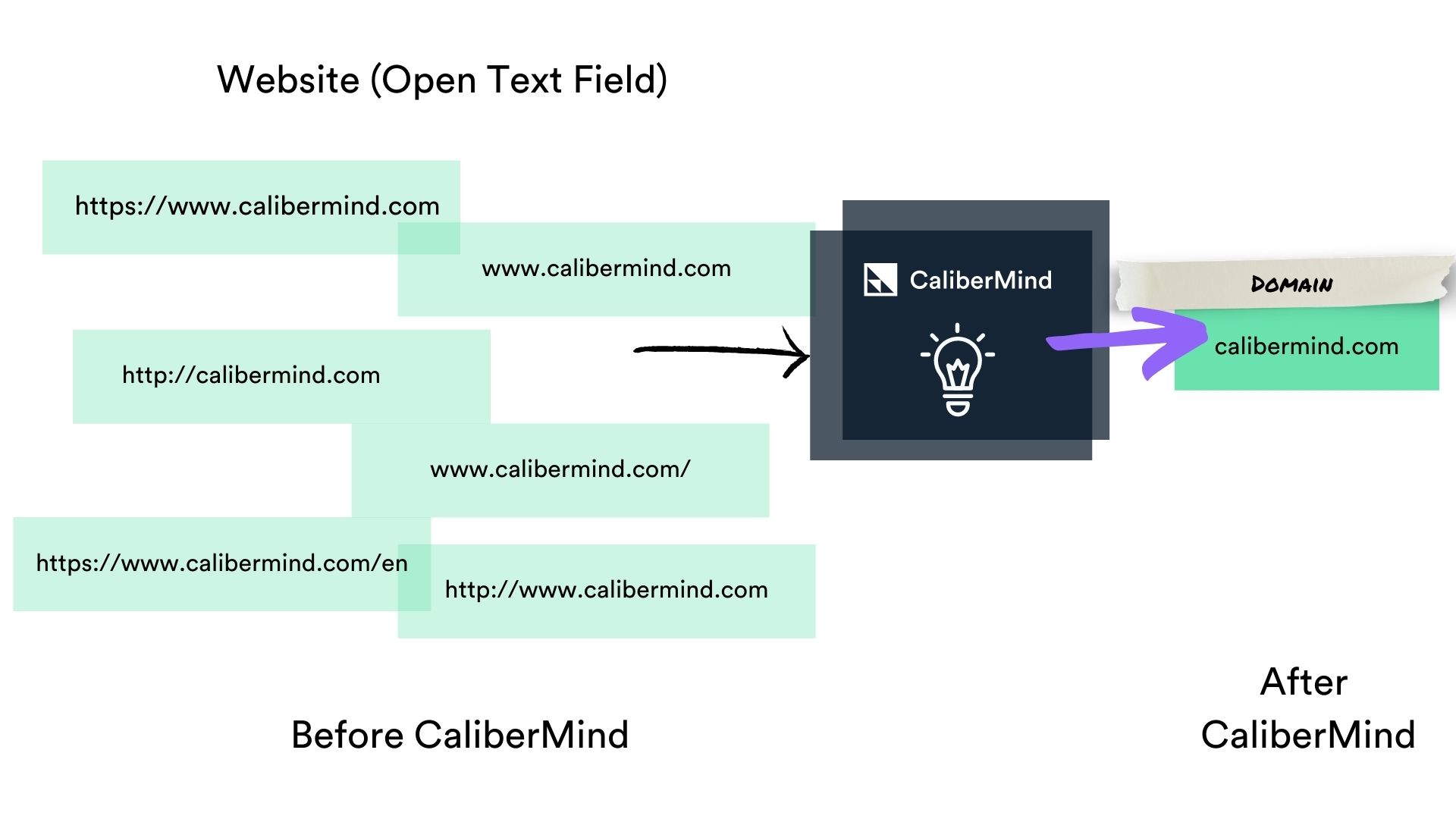 CaliberMind cleans raw website text to domain