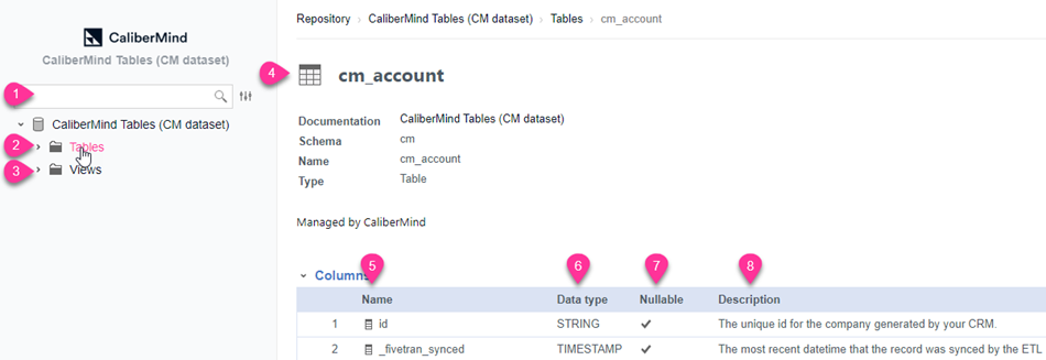 CaliberMind Data Dictionary