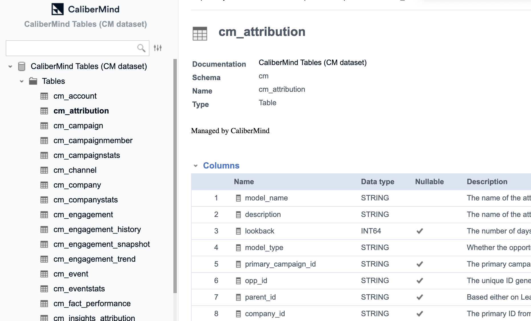 CaliberMind Data Dictionary