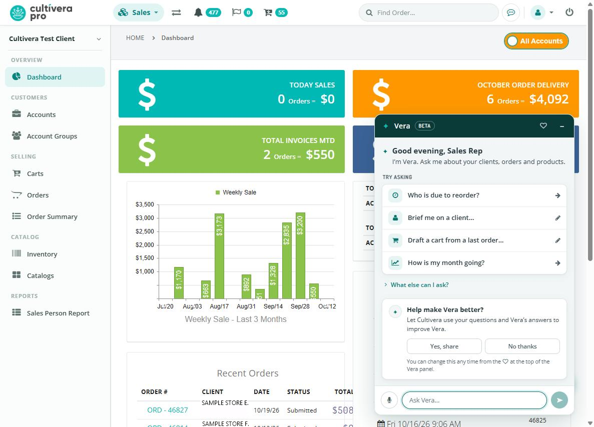Sales dashboard with the Vera window open, showing suggested questions and the Ask Vera box