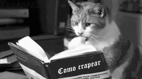 Cat learning gif