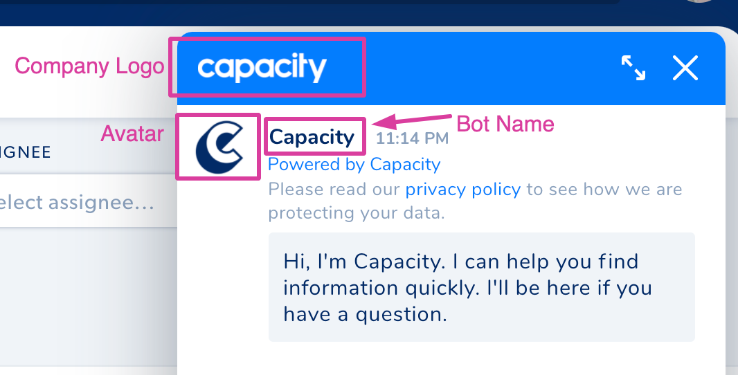chat bot branding