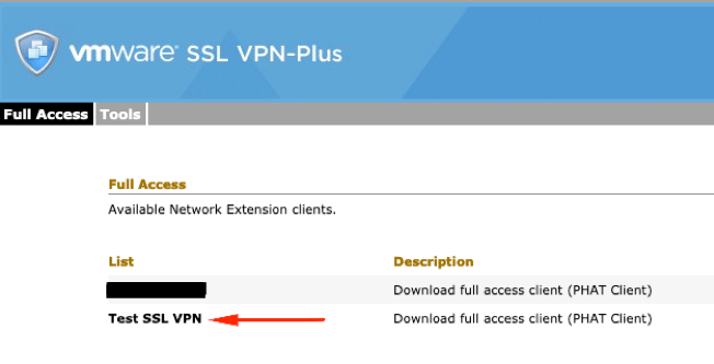 ssl vpn plus means