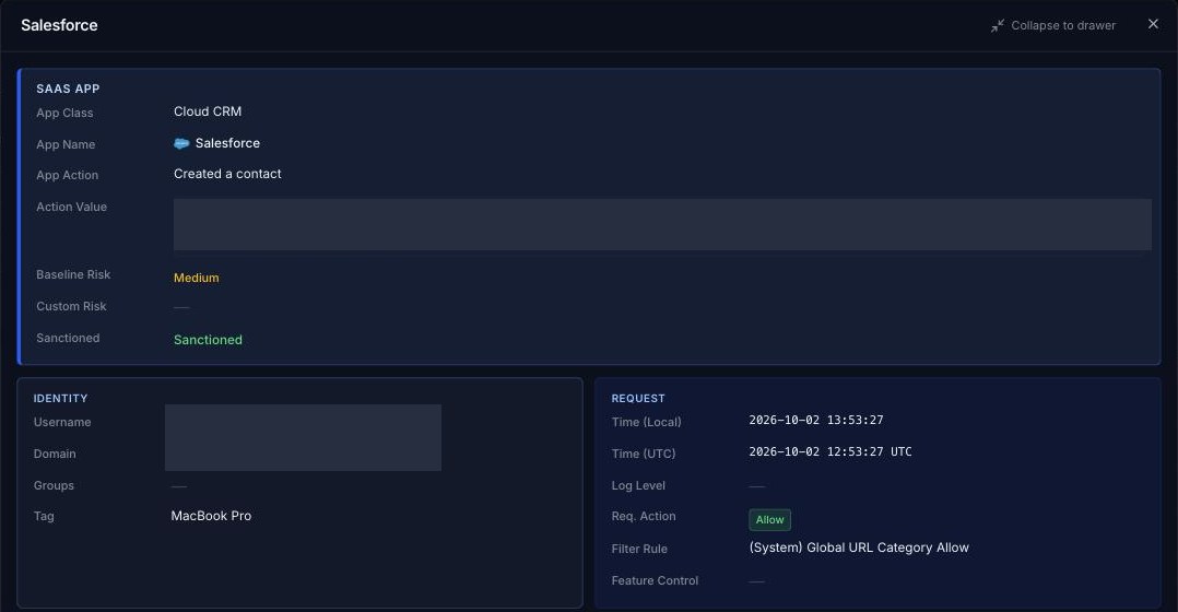 SaaS Activity details dialog