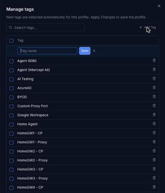 Manage tags panel with the Add Tag form open