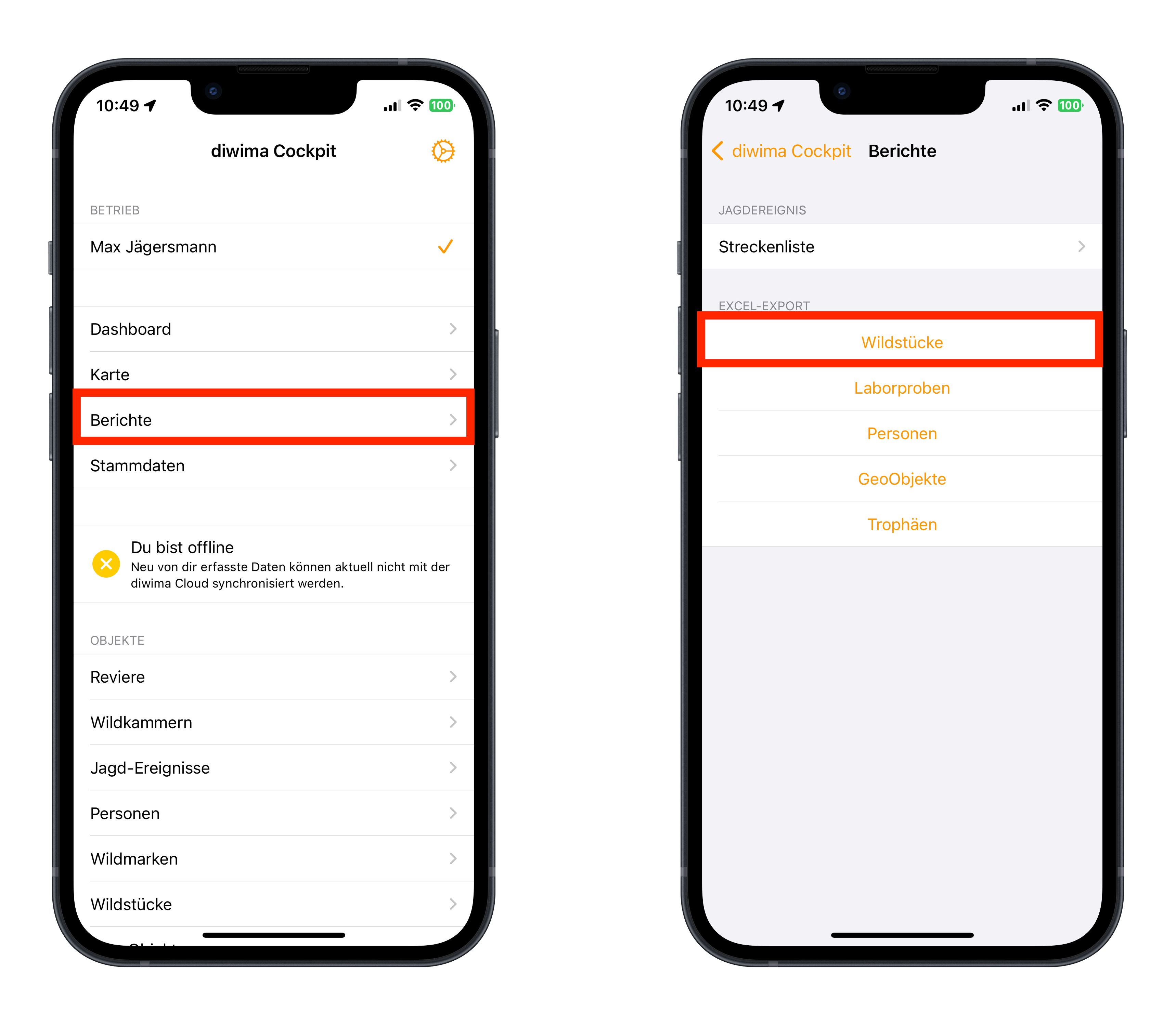 Zwei iPhone-Screenshots aus der Diwima-App: Links die Startansicht mit markiertem Menüpunkt „Berichte“, rechts die geöffnete Berichte-Übersicht mit hervorgehobener Option „Wildstücke“ im Bereich „Excel-Export“.
