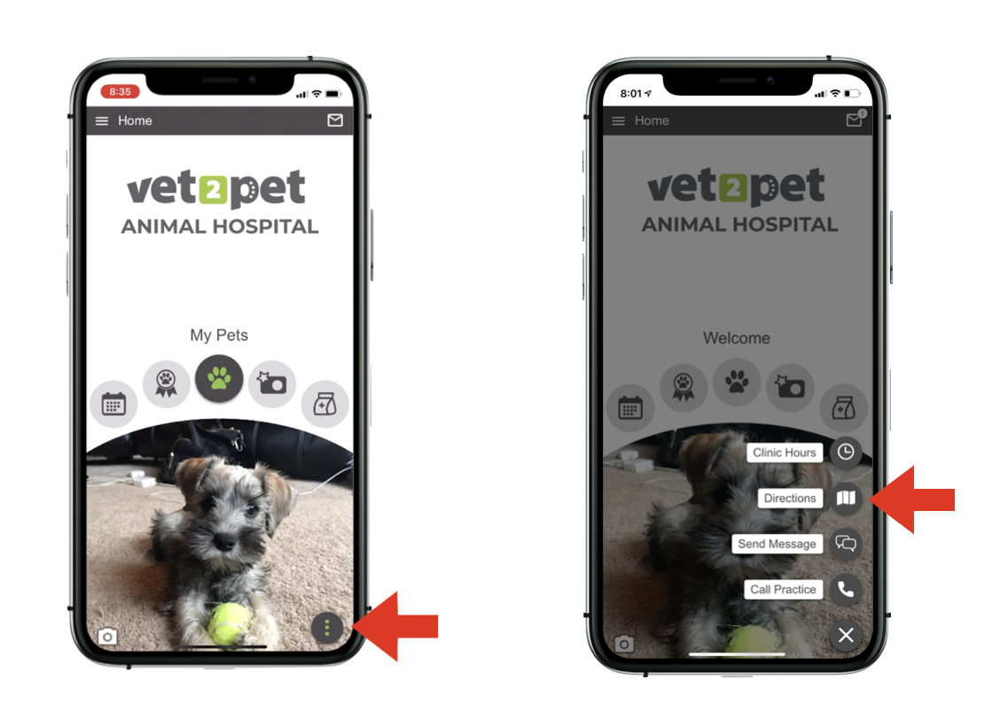 directions-to-your-practice-the-vet2pet-knowledge-library