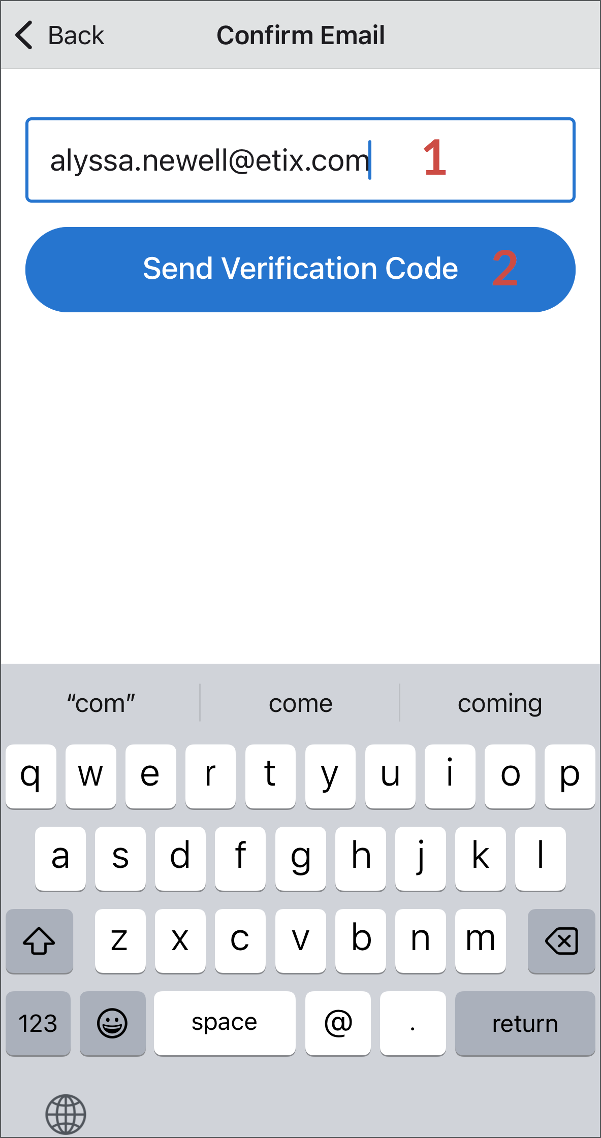 Confirm or input email address. Click Send Verification Code.
