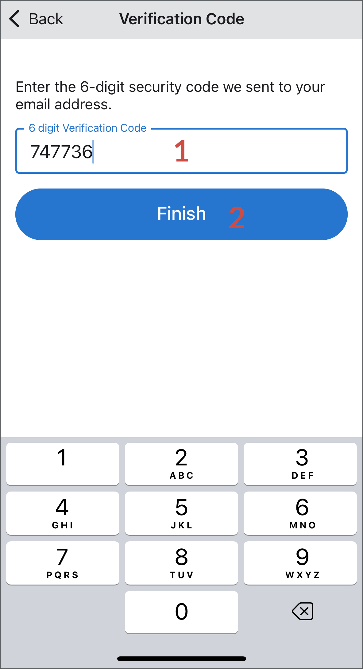 Enter the verification code included from the email. Click Finish.