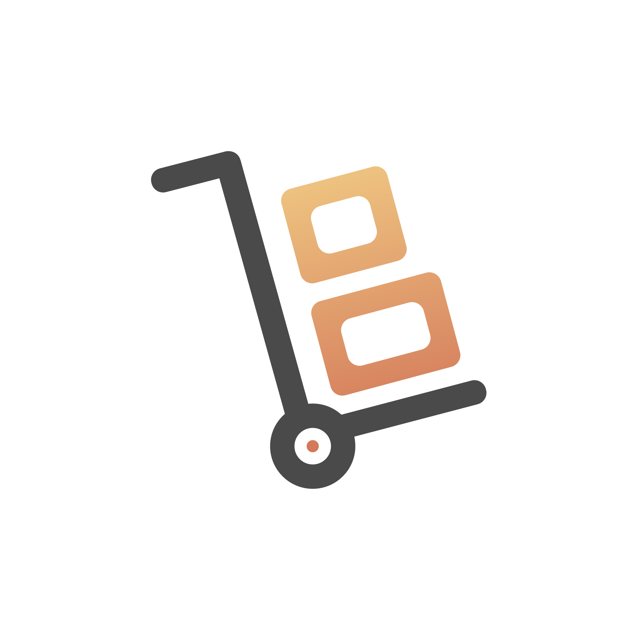 Category icon