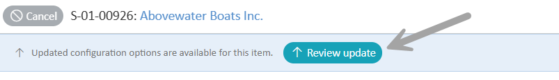 Review Update option highlighted.