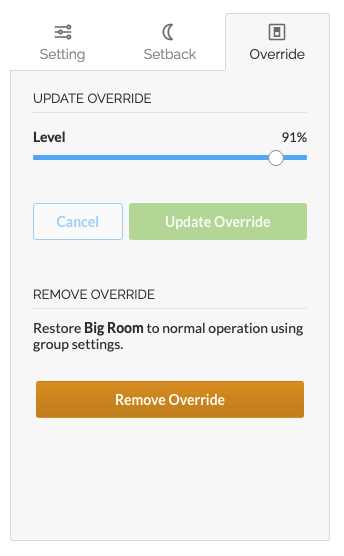 Remove Override