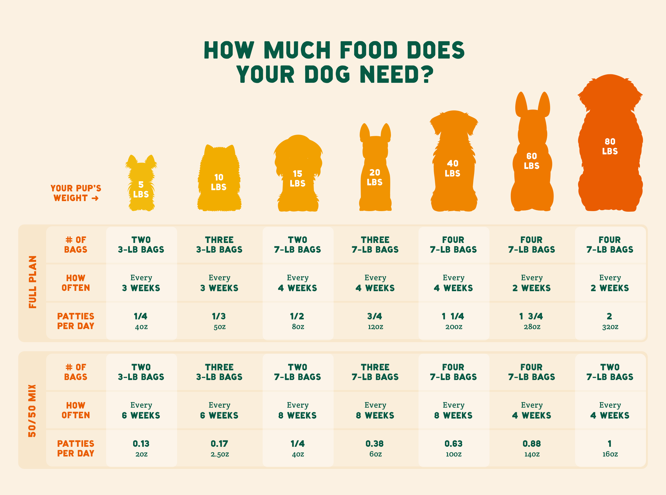 how often should feed a puppy