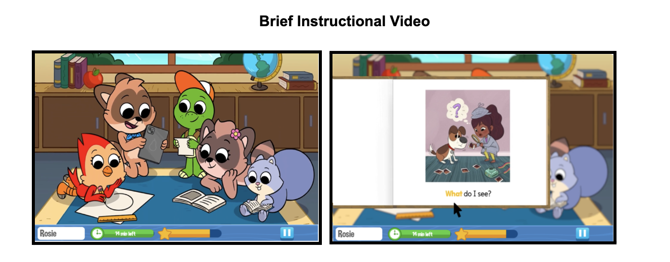 Brief Instructional Video screenshots