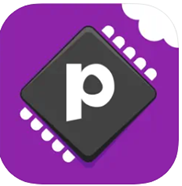 purple chip 1.png