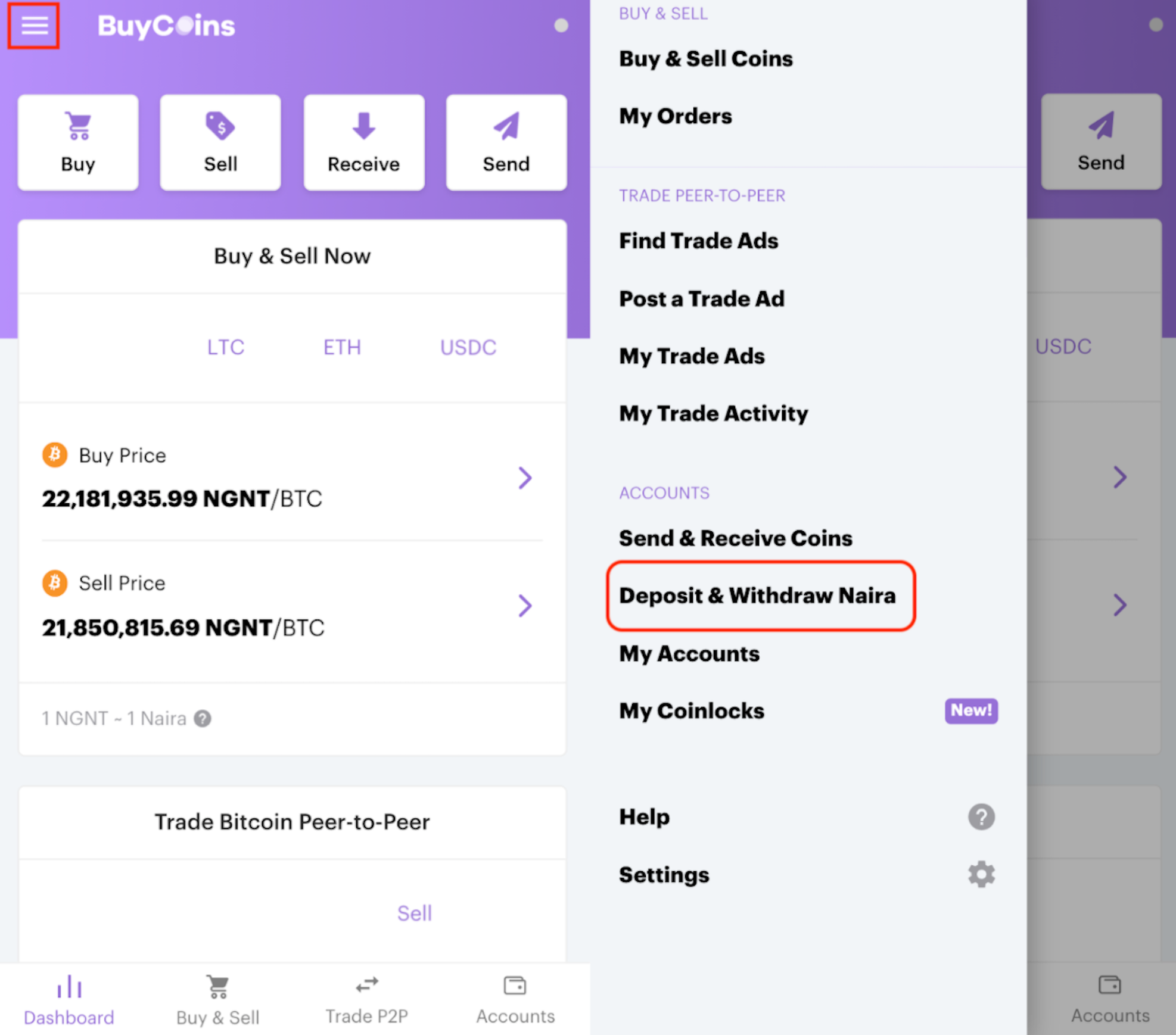 How Much Is One Bitcoin In Naira Today Bitcoin In Nigeria How To Buy 